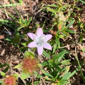 Meet your Posher, Thu